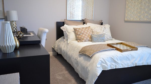 Puces à domicile : signes d'infestation et solutions efficaces